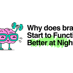 Why Does the Brain Start to Function Better at Night?